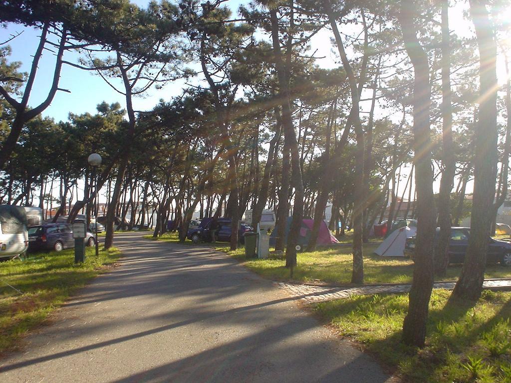Parque De Campismo Da Praia Da Barra Gafanha da Nazaré Esterno foto
